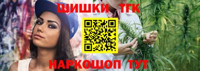 амф Гатчина